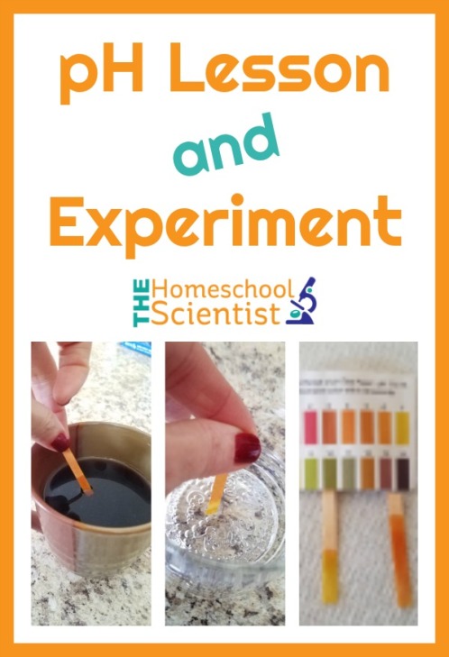 ph-lesson-and-experiment-.jpg