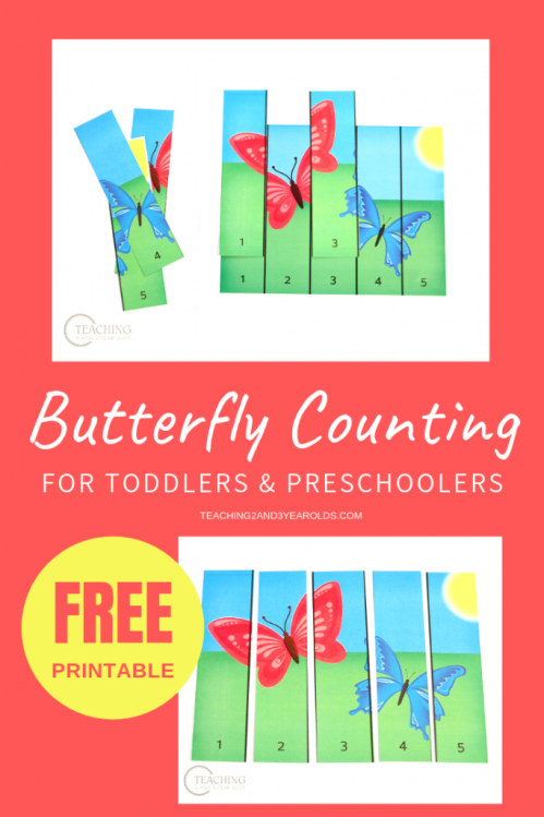 butterfly-counting-3-683x1024.png